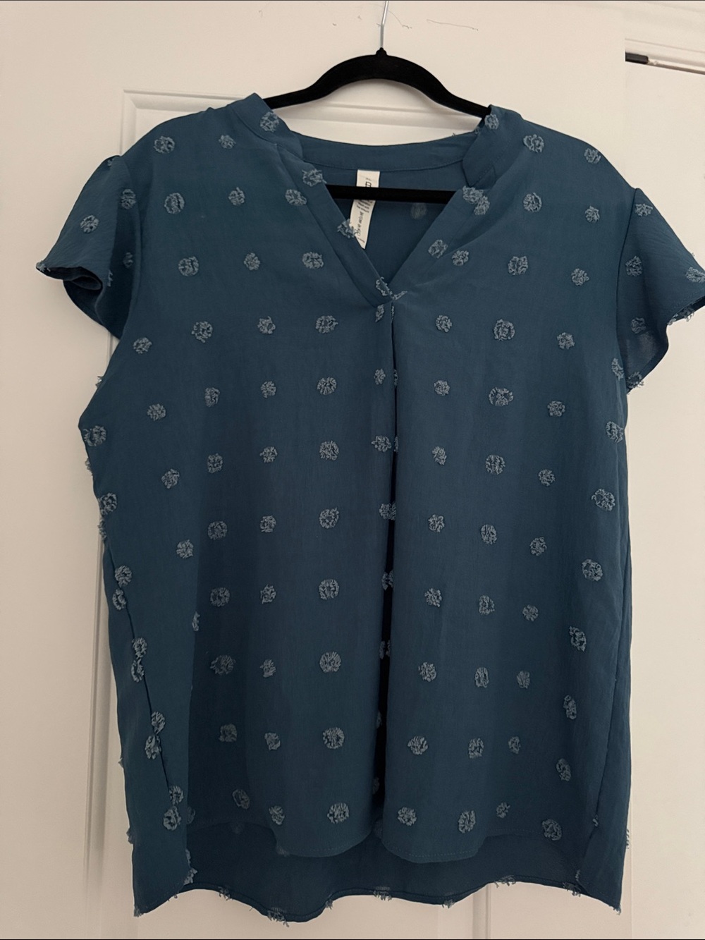 Amazon Teal Short Sleeve V-Neck Dot Embroidered Blouse